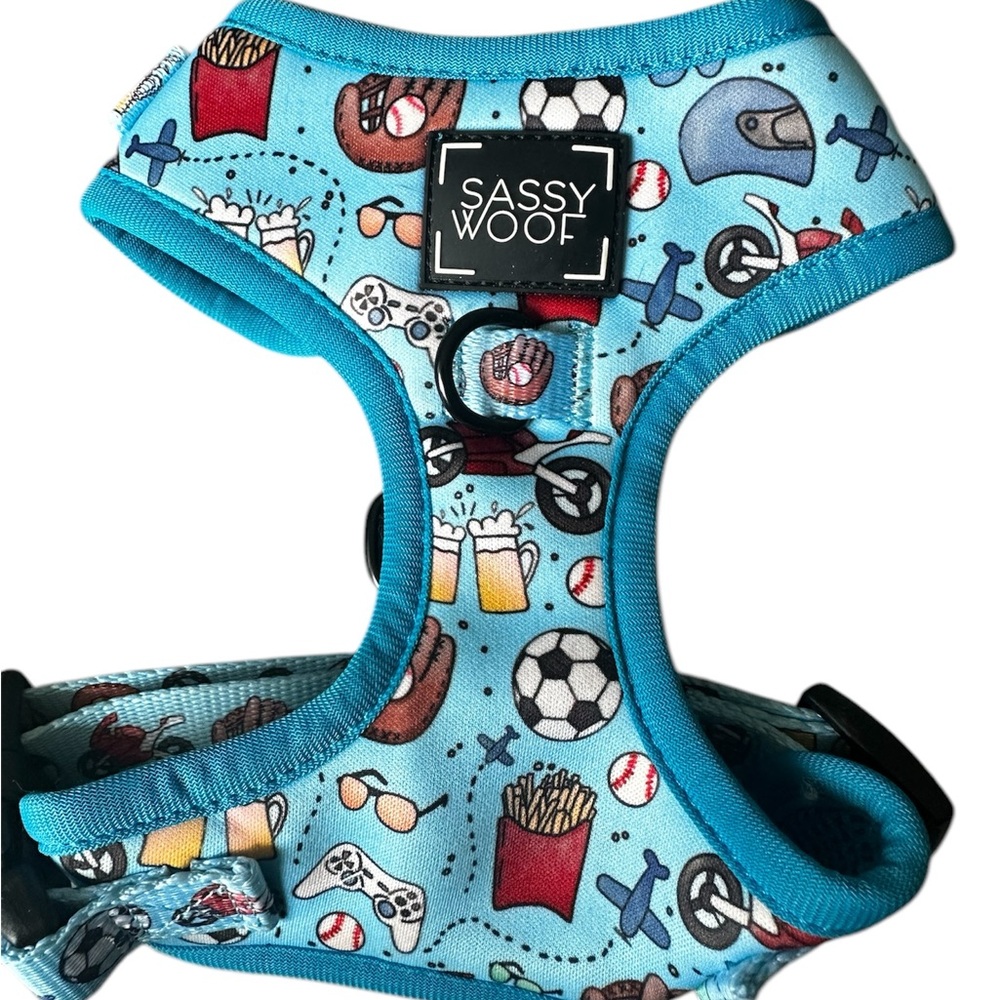 Sassy Woof XS Dog Harness